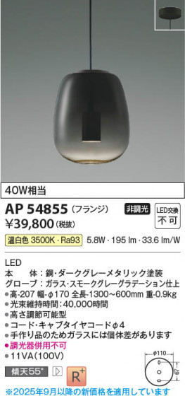 ���β��� Koizumi �������߾��� LED�ڥ����� AP54855