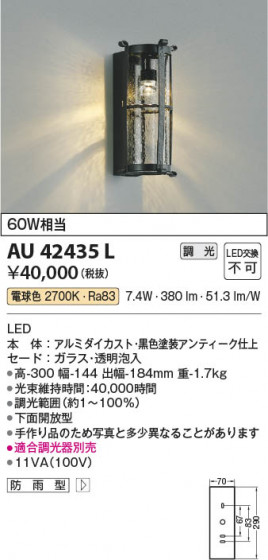 ���β��� Koizumi �������߾��� LED�ɱ����֥饱�å� AU42435L