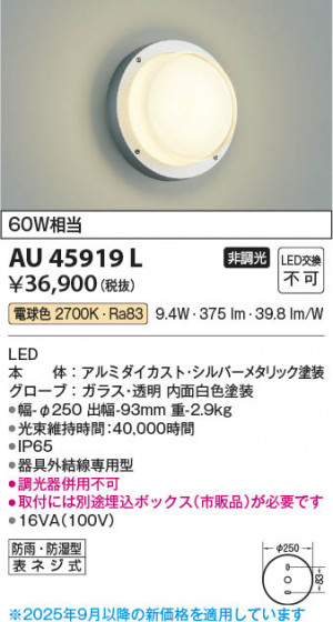 ���β��� Koizumi �������߾��� LED�ɱ��ɼ����֥饱�å� AU45919L