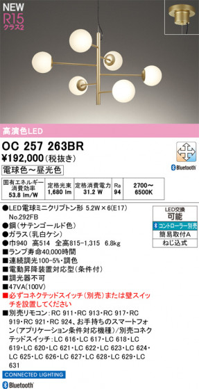 ODELIC �����ǥ�å� �����ǥꥢ OC257263BR �ᥤ��̿�