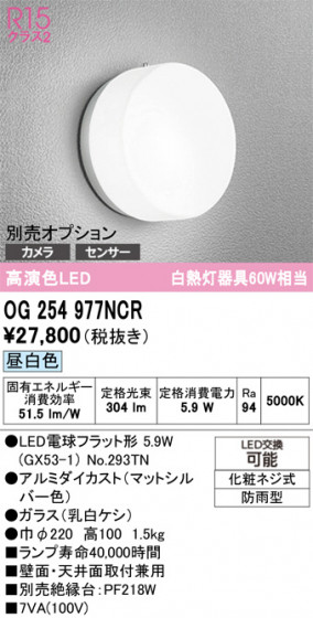 ODELIC �����ǥ�å� �������ƥꥢ�饤�� OG254977NCR �ᥤ��̿�