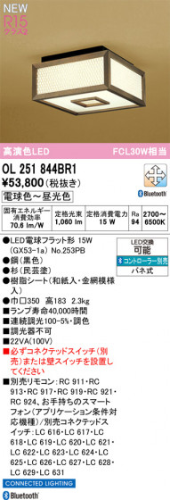 ODELIC �����ǥ�å� ��������������󥰥饤�� OL251844BR1 �ᥤ��̿�
