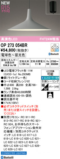 ODELIC �����ǥ�å� �ڥ����ȥ饤�� OP273054BR �ᥤ��̿�