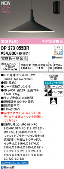 ODELIC �����ǥ�å� �ڥ����ȥ饤�� OP273055BR �ᥤ��̿�