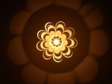 ëӹ ڥ P.P.LAMP SHADE DON2 ̿2