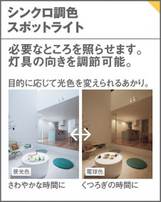 Panasonic ݥåȥ饤 XAS3502CU1 ̿1