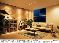 Panasonic 饤 XAD3422LCE1 ̿2