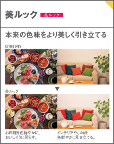 Panasonic ƥꥢ饤 XED3210VCB1 ̿6