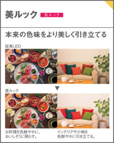 Panasonic ֥饱å XLGB82901CE1 ̿3
