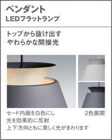 Panasonic ڥȥ饤 LGB10855 ̿2