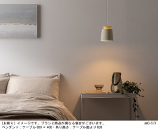 Panasonic ڥȥ饤 XLGB1867CE1 ̿2