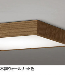 ODELIC ǥå 󥰥饤 OL251744R ̿1
