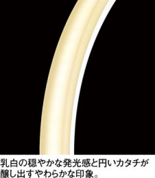 ODELIC �����ǥ�å� �ڥ����ȥ饤�� OP252526R �̿�2