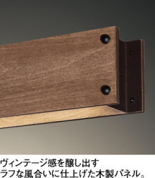 ODELIC �����ǥ�å� �ڥ����ȥ饤�� OP252531R �̿�2