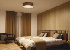 ܹ|DAIKO ŵ LEDĴ DCL-42070