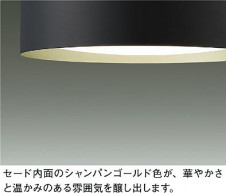 ͼ̿|DAIKO ŵ LEDĴڥ DPN-42377