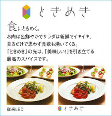 |DAIKO ŵ LED֥饱å DBK-40424A