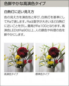 |DAIKO ŵ LEDڥ DPN-37464