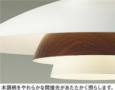 ͼ̿|DAIKO ŵ LEDڥ DPN-40521YE