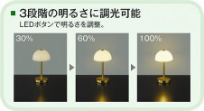 |DAIKO ŵ LED DST-41887R