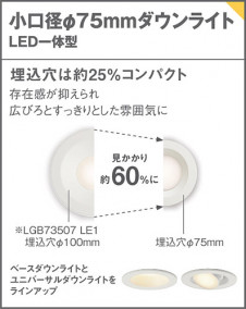 Panasonic 饤 LGD1007NLE1 ̿3