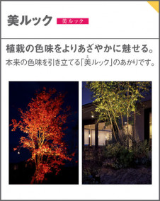 Panasonic ƥꥢ饤 SLW45841LE1 ̿5