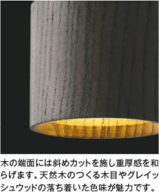 ħ̿ Koizumi ߾ LEDڥ AP57310