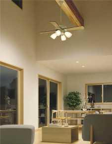 �ܹ���̿� Koizumi �������߾��� LED����ƥꥢ�ե������� AA43192L