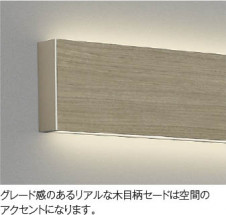 ��ħ�̿� Koizumi �������߾��� LED�֥饱�å� AB52397