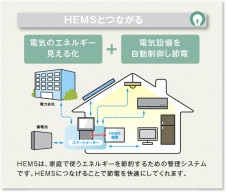 �������� Koizumi �������߾��� ���ޡ��ȥ����ץ� AE49233E