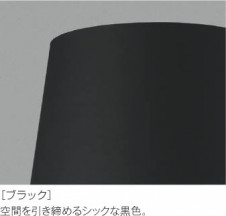 Koizumi �������߾��� ������ AE54476E �̿�4