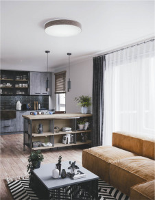 �ܹ���̿� Koizumi �������߾��� LED������� AH55641