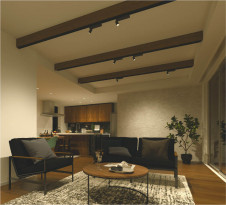 �������� Koizumi �������߾��� LED���ݥåȥ饤�� AS53931