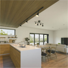 �ܹ���̿� Koizumi �������߾��� LED���ݥåȥ饤�� AS56091