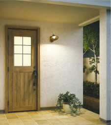 �ܹ���̿� Koizumi �������߾��� LED�ɱ����֥饱�å� AU42251L