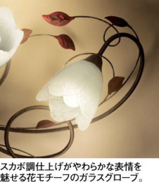 ODELIC �����ǥ�å� �֥饱�å� OB255129NR �̿�1