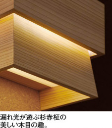 ODELIC �����ǥ�å� �����֥饱�å� OB255365WR �̿�2