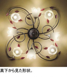 ODELIC �����ǥ�å� �����ǥꥢ OC257027NR �̿�1