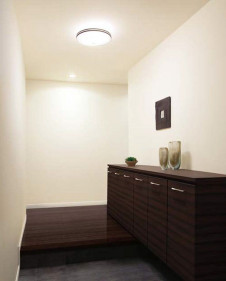 ODELIC �����ǥ�å� ����������󥰥饤�� OL011251NR �̿�1