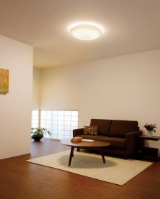 ODELIC �����ǥ�å� ����������󥰥饤�� OL251498GR �̿�1