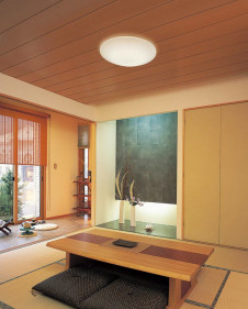 ODELIC �����ǥ�å� ����������󥰥饤�� OL251498GR �̿�3