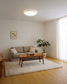 ODELIC �����ǥ�å� ������󥰥饤�� OL251816GR �̿�1