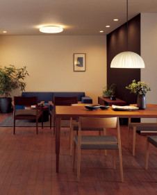 ODELIC �����ǥ�å� ����������󥰥饤�� OL251818GR �̿�3