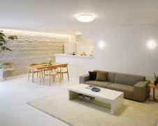 ODELIC �����ǥ�å� ������󥰥饤�� OL251823GR �̿�4