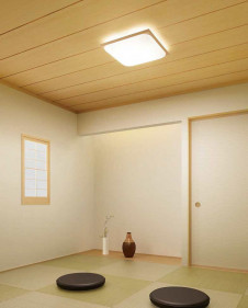 ODELIC �����ǥ�å� ����������󥰥饤�� OL291016GR �̿�1