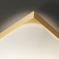 ODELIC �����ǥ�å� ����������󥰥饤�� OL291017GR �̿�2