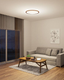 ODELIC �����ǥ�å� ������󥰥饤�� OL291323GR �̿�1