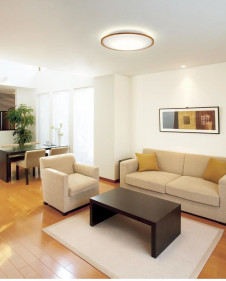 ODELIC �����ǥ�å� ������󥰥饤�� OL291323GR �̿�2