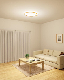 ODELIC �����ǥ�å� ������󥰥饤�� OL291328GR �̿�2