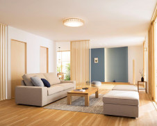 ODELIC �����ǥ�å� ������󥰥饤�� OL291505GR �̿�1